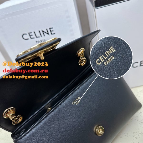 Best High Quality Celine Victoire Teen 7 Star 116593 Bag