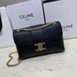 Best High Quality Celine Victoire Teen 7 Star 116593 Bag