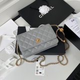 Replica 19CM Iridescent Wallet On Chain WOC AP1450 Bag