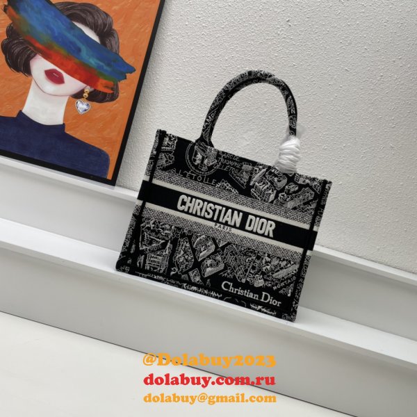 7 Star DIOR BOOK TOTE PERFECT BAG