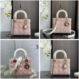 Perfect Quality Replica Christian Lady Dior 17/20cm Bags