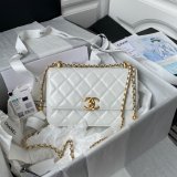 1:1 Replica AS2649 Calfskin & Gold-Tone Metal Flap Bag